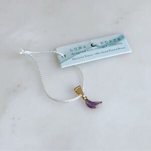 Luna Norte | Amethyst Crescent Moon Pendant